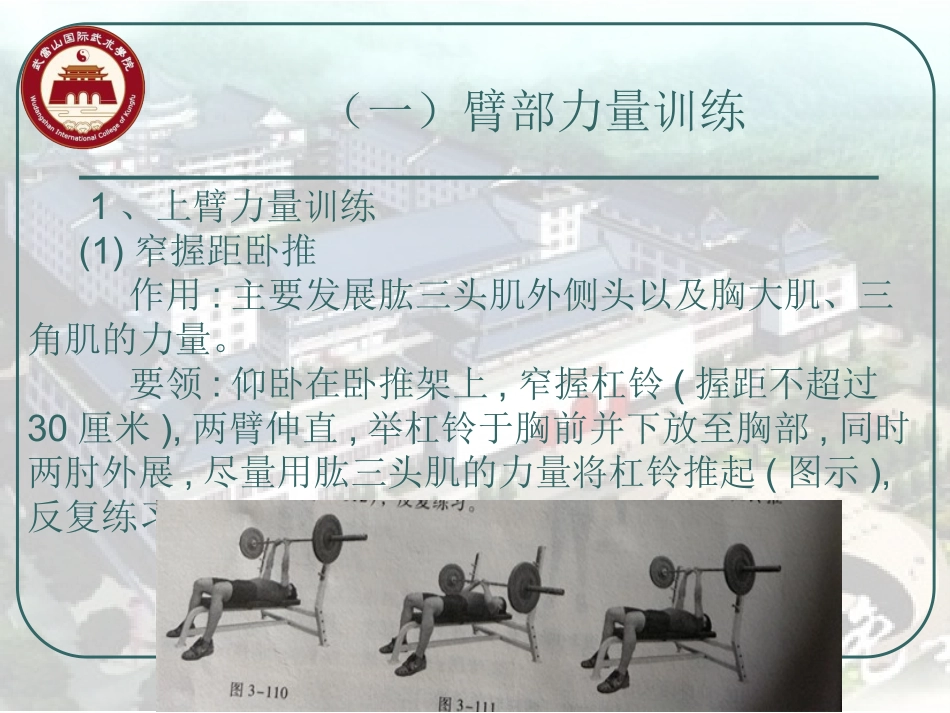 四肢力量训练的技术动作_第2页
