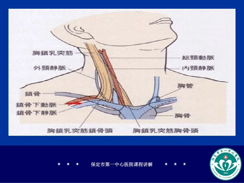 锁骨下静脉立体解剖图_第2页