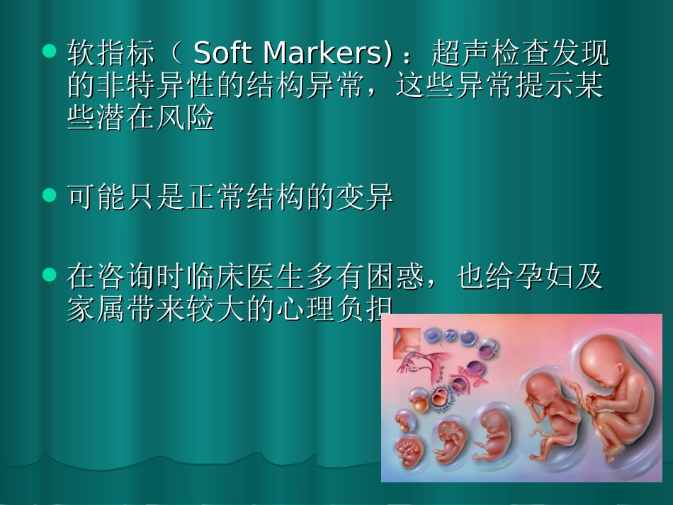 胎儿超声软指标的临床意义_第2页