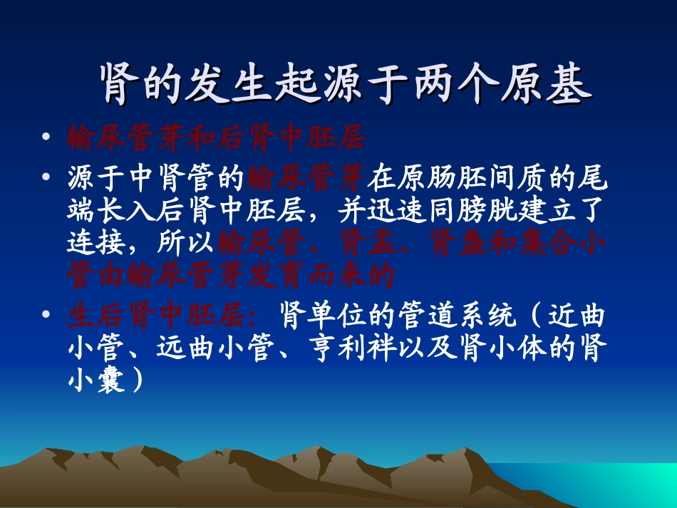 胎儿泌尿系统畸形课件_第3页