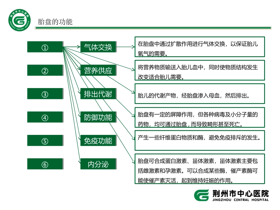 胎盘讲解的课件_第3页
