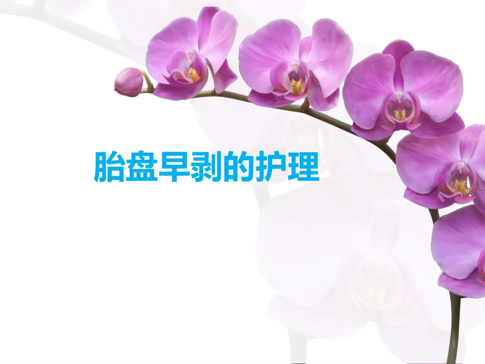 胎盘早剥护理医学课件_第1页