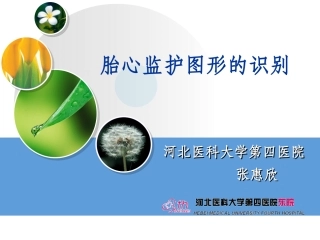 胎心监护图形识别