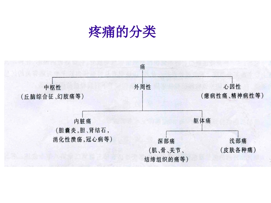 疼痛的康复课件_第3页
