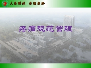 疼痛规范管理课件