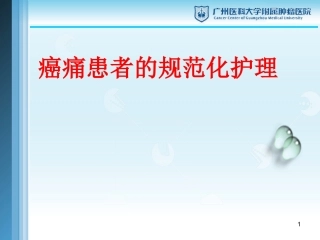 疼痛患者的规范化护理内科