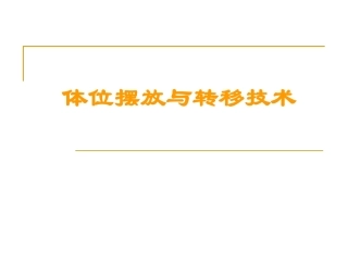 体位摆放和转移训练