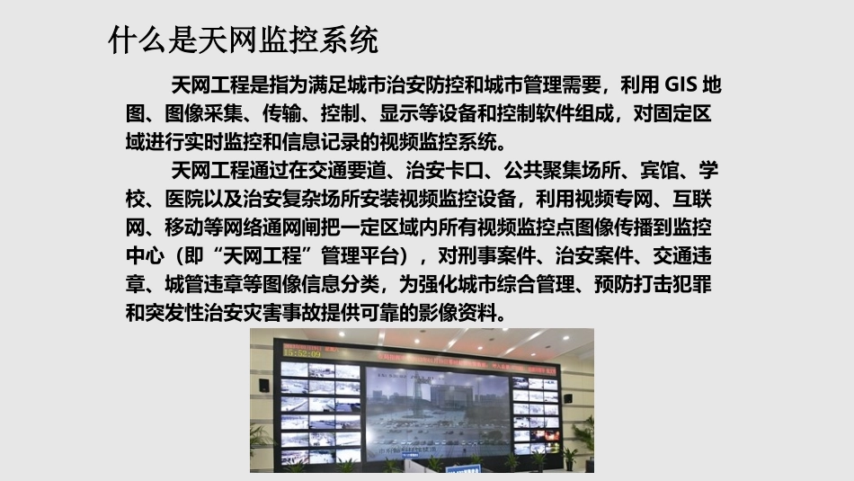 天网监控全警应用平台解决方案_第2页