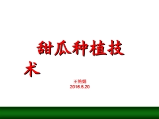 甜瓜种植技术资料