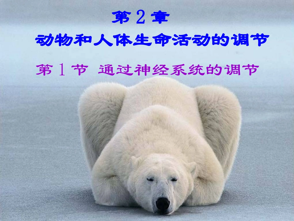 通过神经系统的调节_第1页