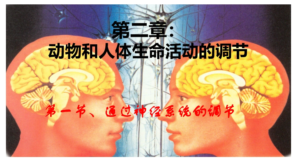 通过神经系统的调节公开课_第1页