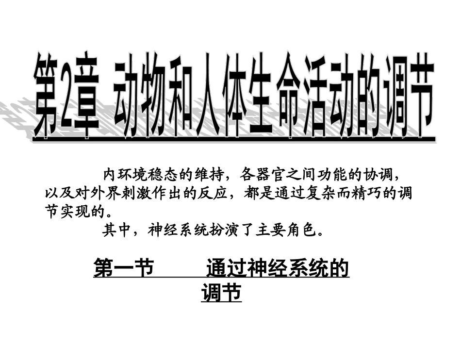通过神经系统调节_第1页