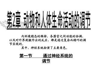 通过神经系统调节