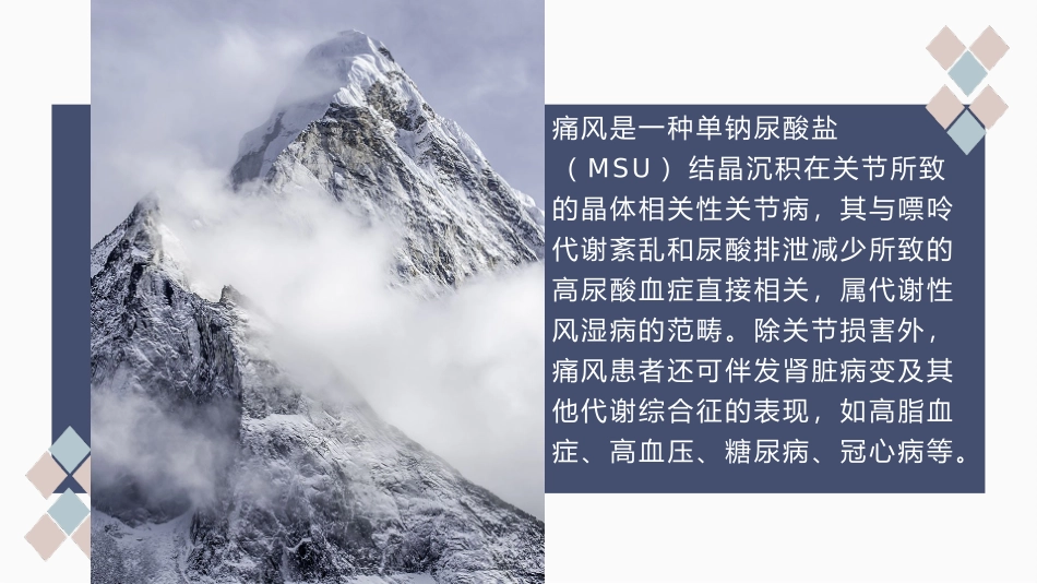 痛风性关节炎诊疗及治疗课件刘良运_第2页