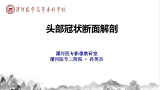 头部冠状位断层解剖