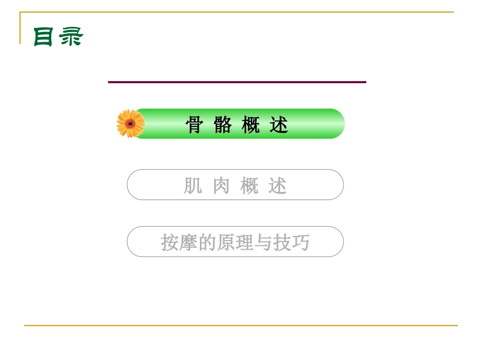 头面部骨骼和肌肉_第2页