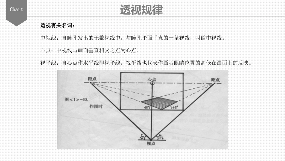 透视知识人体结构_第3页