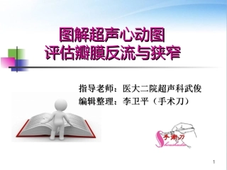 图解超声心动图评估瓣膜反流程度