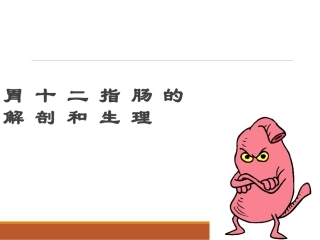 外科学胃十二指肠解剖生理