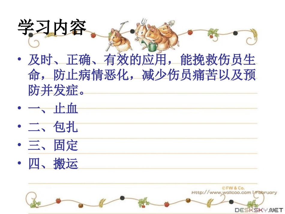 外伤病人的止血包扎固定搬运_第3页