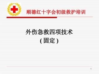外伤急救四项技术固定