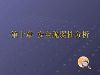 网络安全安全脆弱性分析