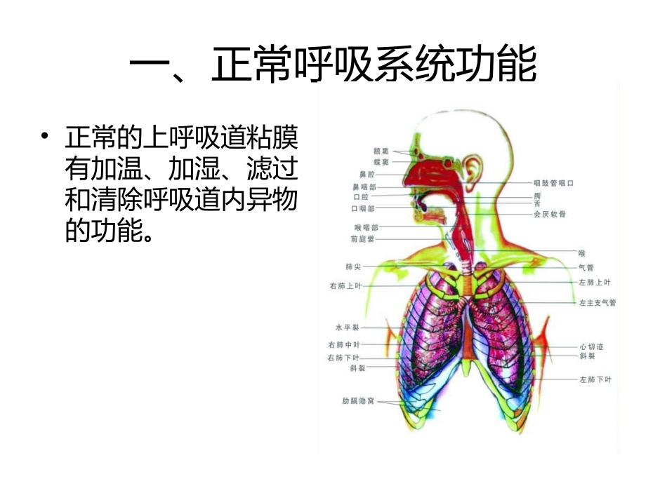 危重患者的气道护理_第3页