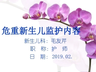 危重新生儿监护内容
