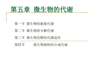 微生物的代谢