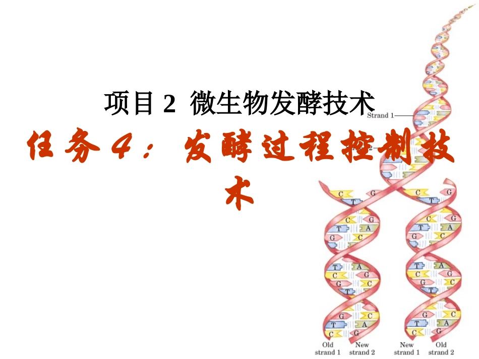 微生物发酵技术_第1页