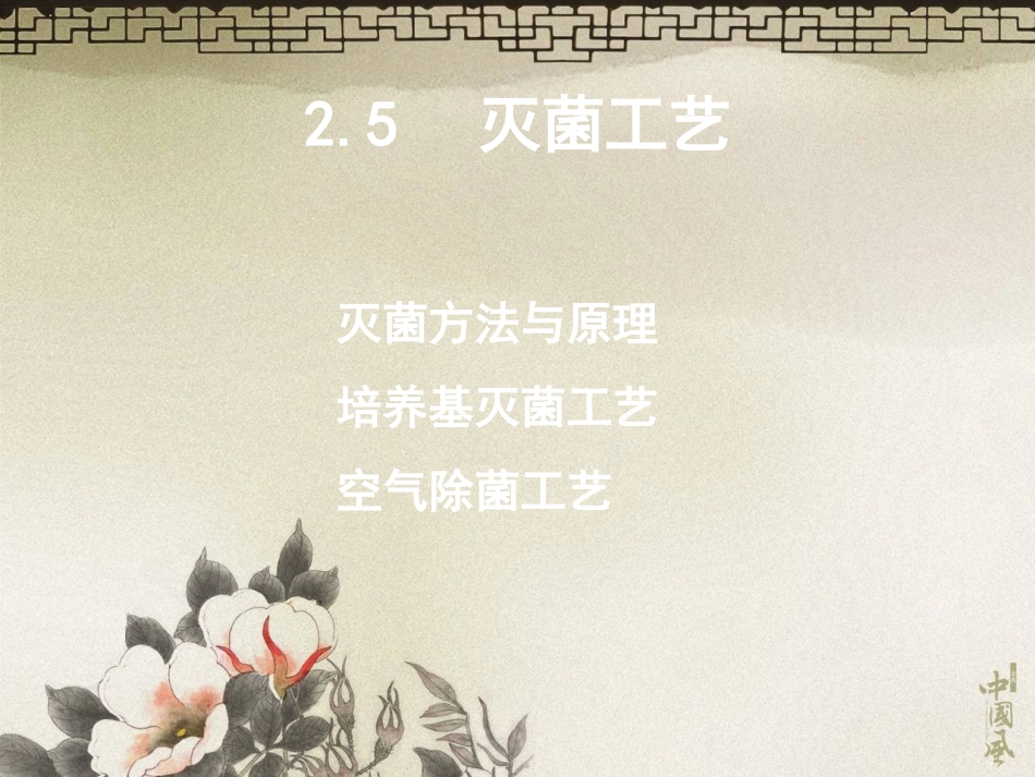 微生物灭菌工艺_第3页