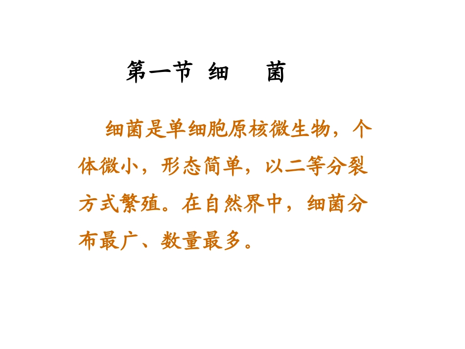 微生物主要类型及形态_第3页