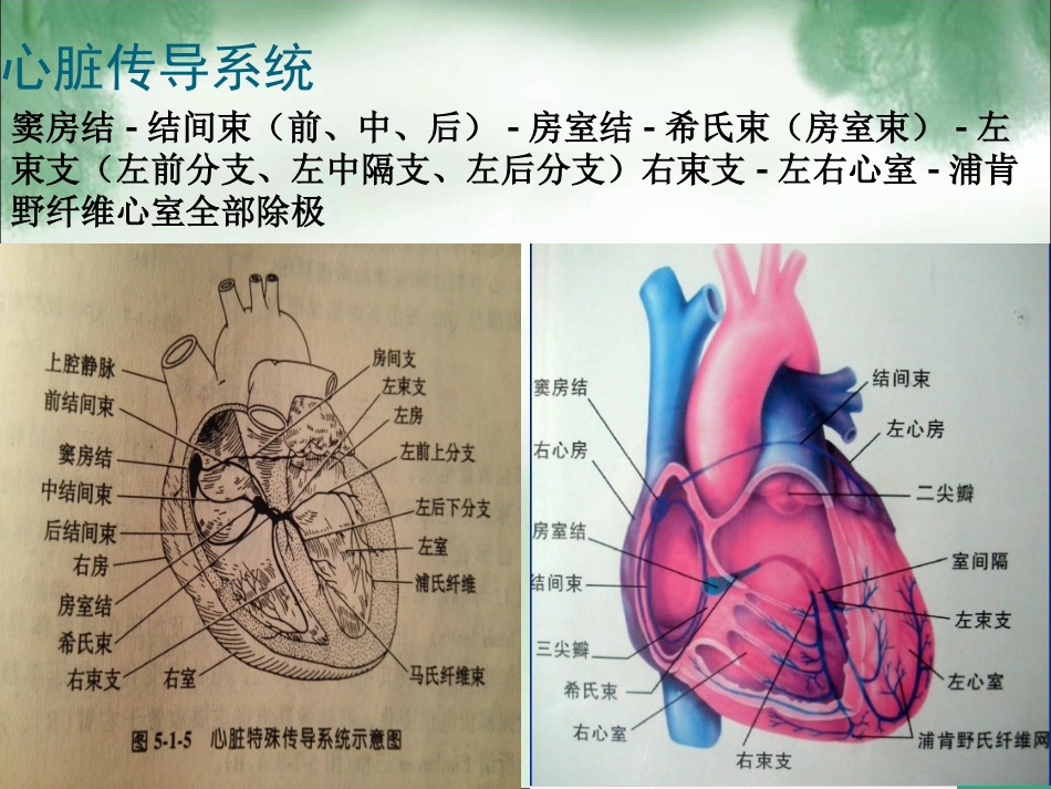 围术期常见心律失常的诊疗和治疗_第2页