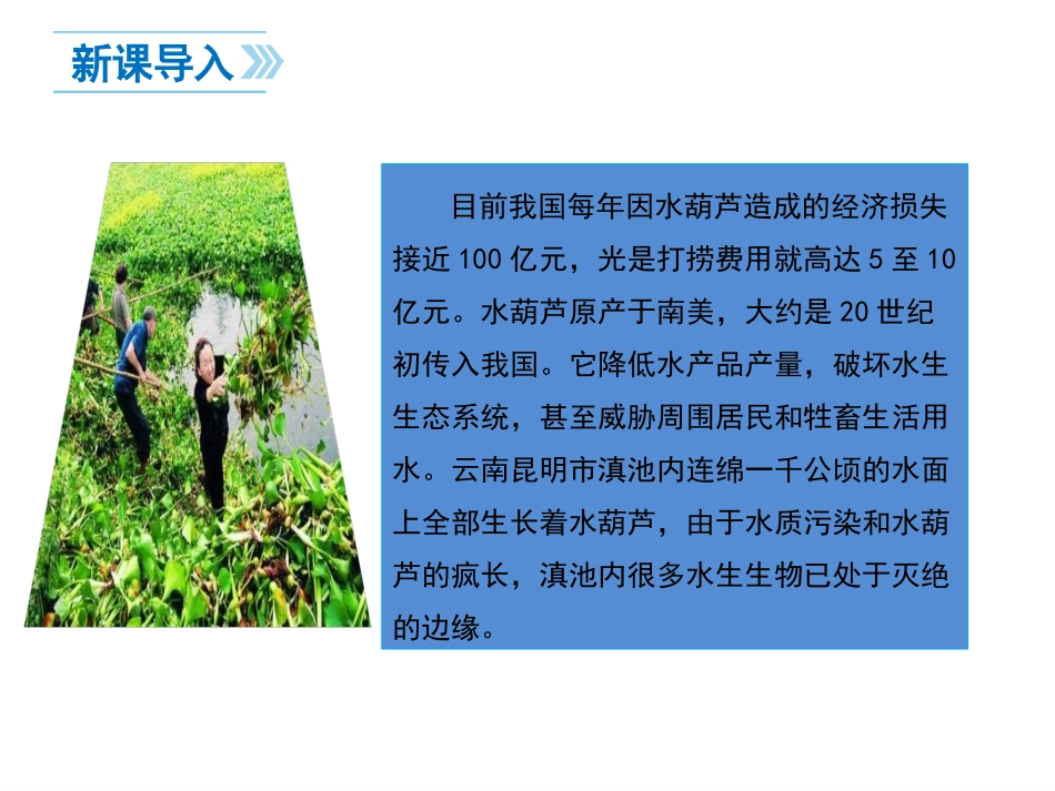 维护国家安全_第2页