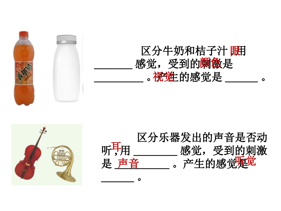 味觉和嗅觉详解_第2页