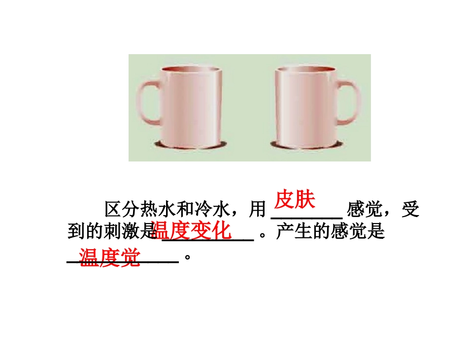 味觉和嗅觉详解_第3页