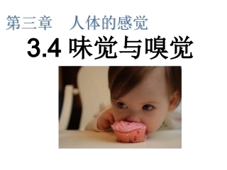味觉和嗅觉详解