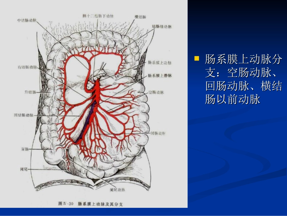 胃肠道疾病CT诊疗_第3页