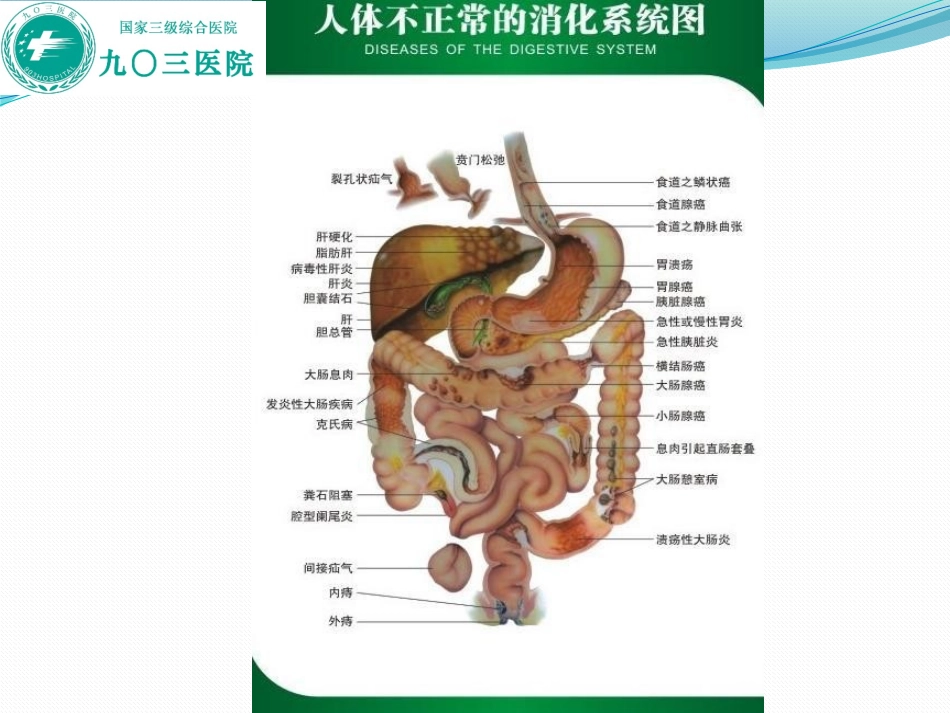 胃肠道肿瘤的早期诊疗及预防_第3页
