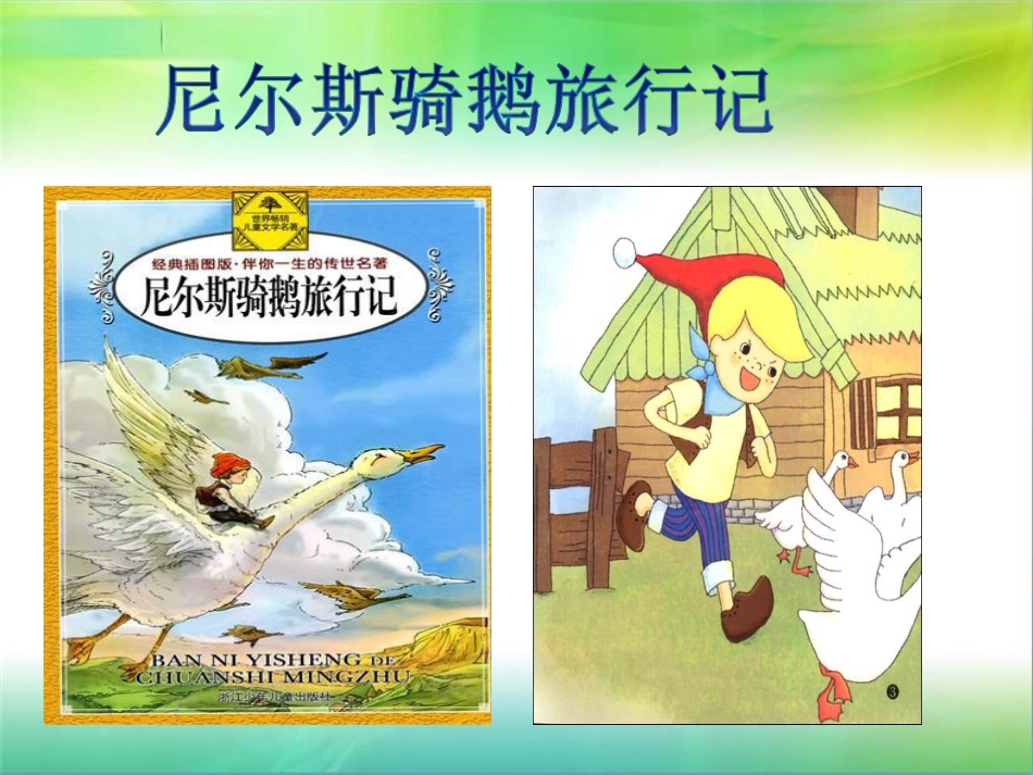 我的读书交流尼尔斯骑鹅旅行记_第1页