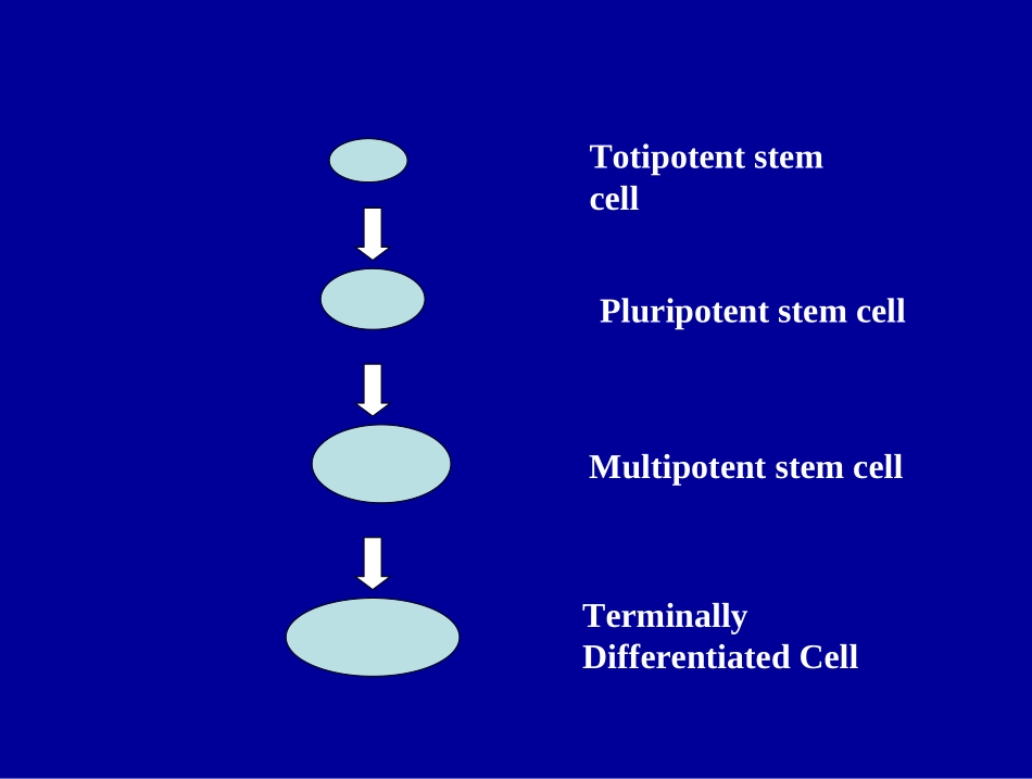 吴祖泽院士干细胞临床研究现状_第2页