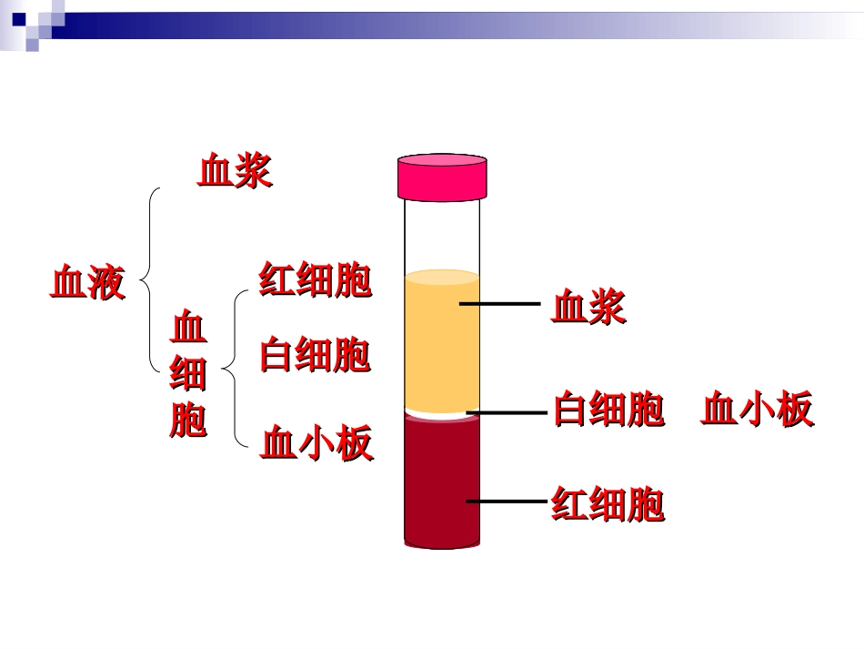 物质运输的器官_第2页