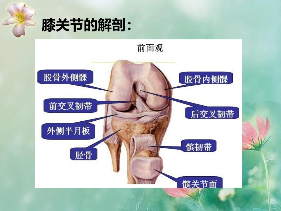膝关节置换术的护理业务查房_第2页