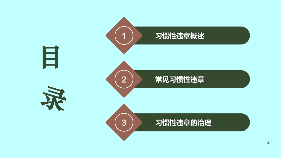 习惯性违章培训课件幻灯片课件_第2页