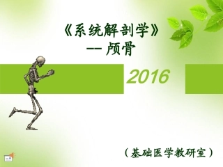 系统解剖学颅骨课件