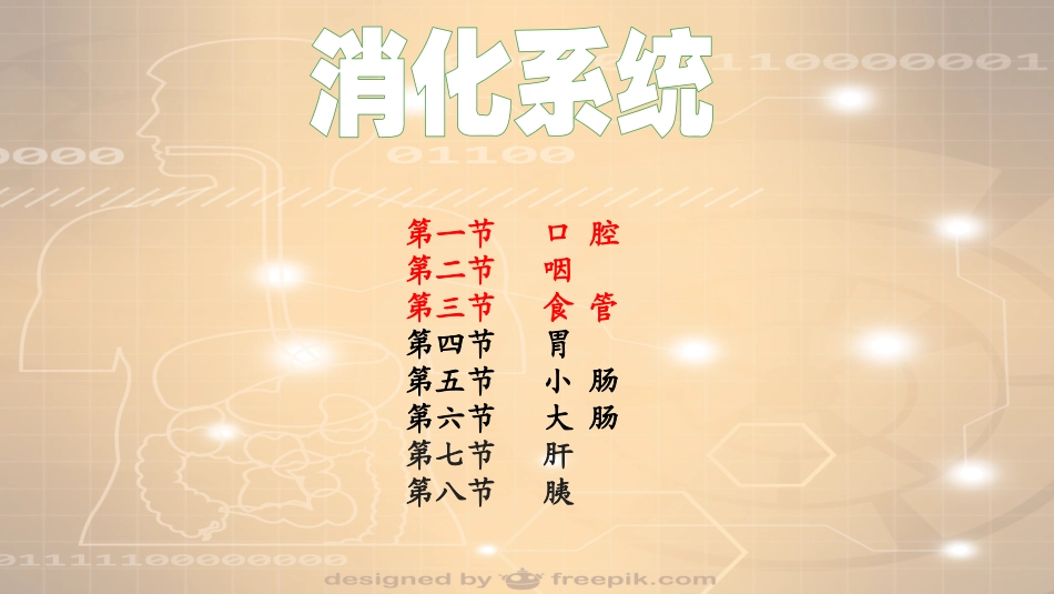 系统解剖学消化系统口腔咽喉食管_第2页