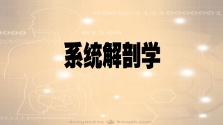 系统解剖学消化系统口腔咽喉食管