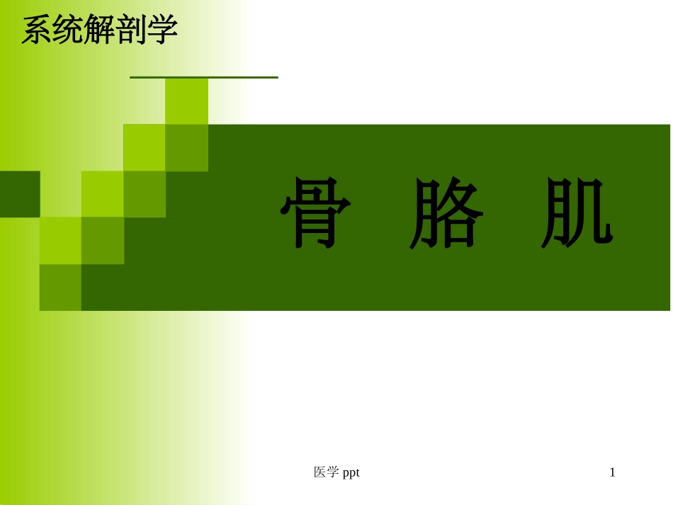 系统解剖学运动系统肌学_第1页