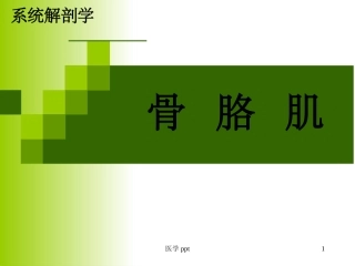 系统解剖学运动系统肌学