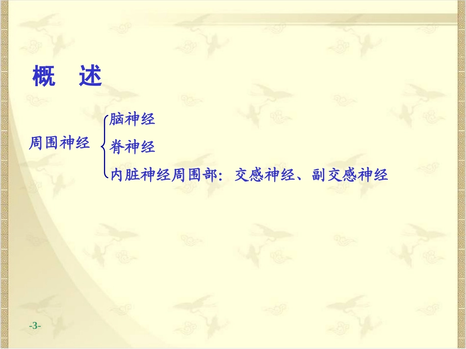 系统解剖学周围神经系统脊神经_第3页